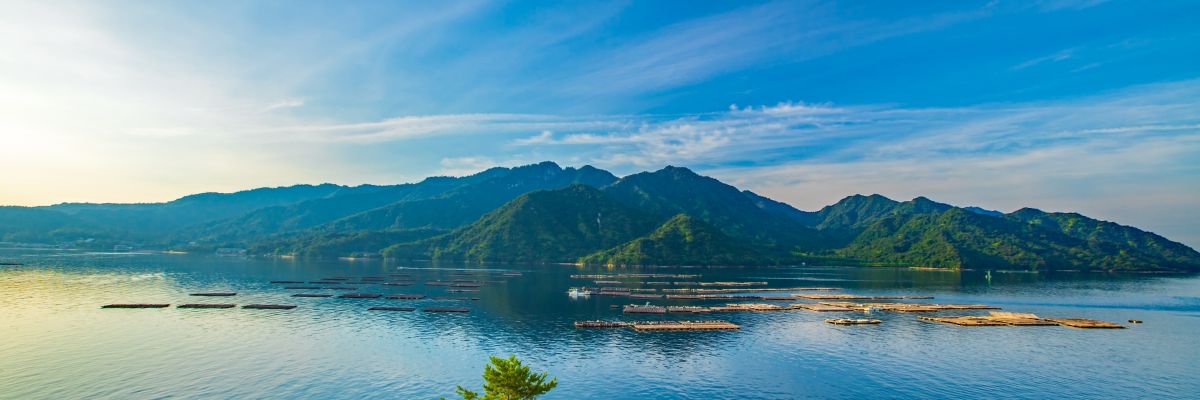 Oyster rafts in Hiroshima Bay, Japan