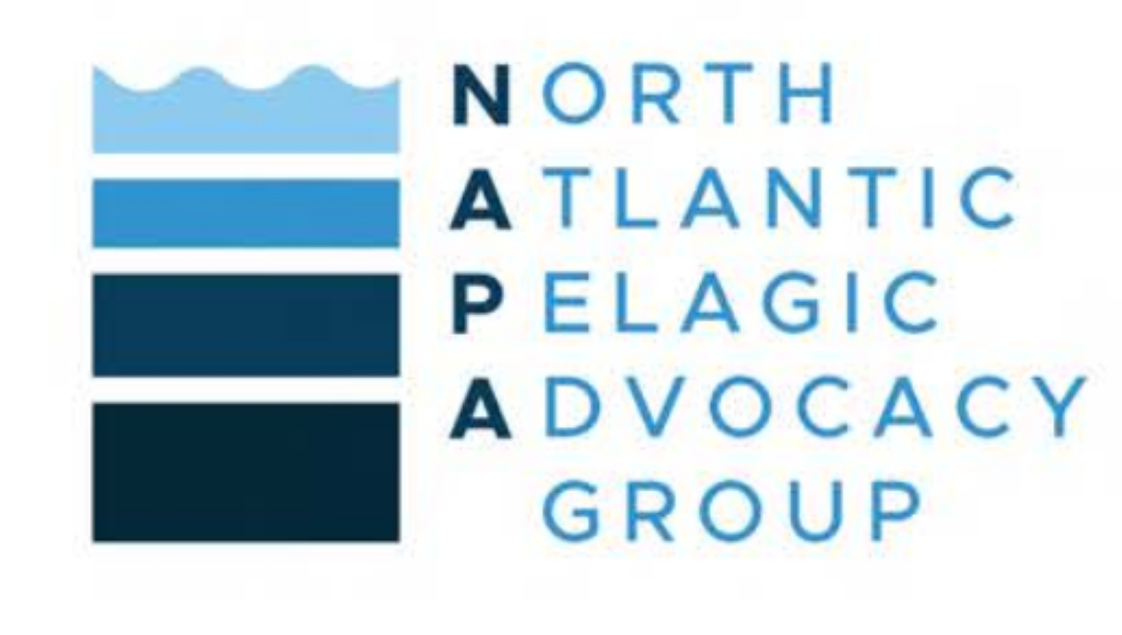 NAPA logo