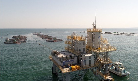 Salmon farm platform in Tottori.